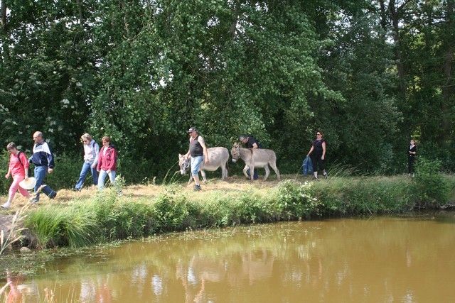 2015-07-06 rando anes (14).JPG